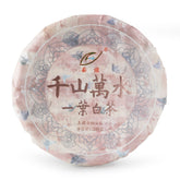 2024 千山萬水一葉白茶餅 200g
